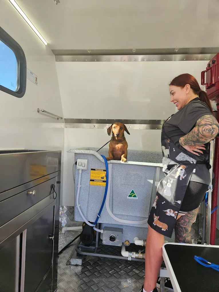 Paula bathing a dachshund in the Bowtique mobile hydro bath